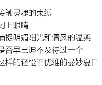 YF | 夏 你好，盛夏隨心型走